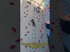 Standard Indoor Rock Climbing Speed Wall Panel Auto Belay Waterproof