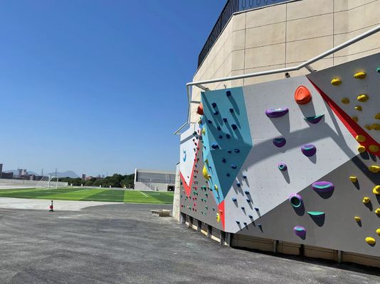 Professional Indoor Climbing Wall Climbing Holds Custom Moisture Proof