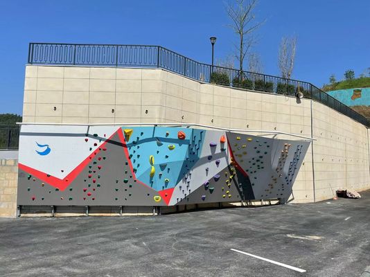 Professional Indoor Climbing Wall Climbing Holds Custom Moisture Proof