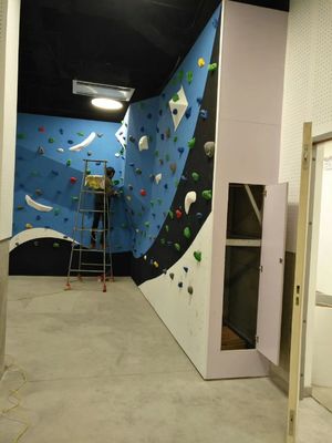 Corrosion Proof Boulder Climbing Wall Gymnasium Overhang Huge Rock Climbing Wall