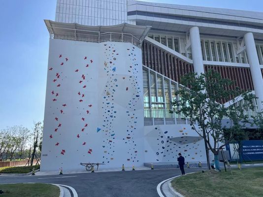 Theme Park Speed Climbing Wall Outdoor Customized Wall Climbing For Adults