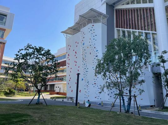Indoor Adult Speed Climbing Holds EN 12572 For University Club