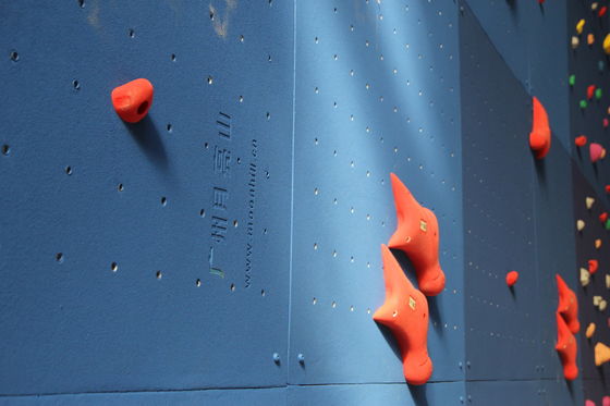 Outdoor Climbing Holds Training Hold Resin Rock Indoor Climbing Hand Holds