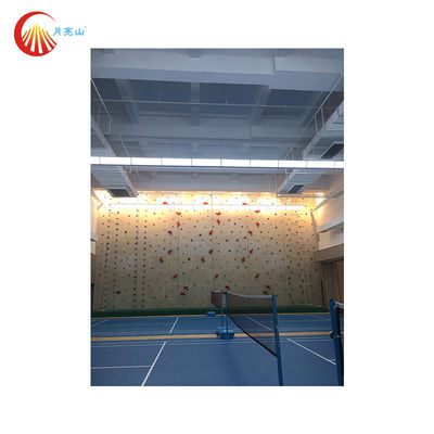 Customized Speed Climbing Holds Resin Rock Climbing Wall Grips For Adult