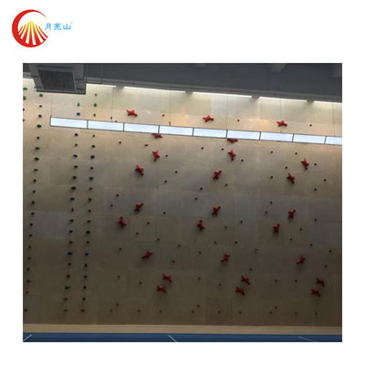 Outdoor Climbing Holds Training Hold Resin Rock Indoor Climbing Hand Holds