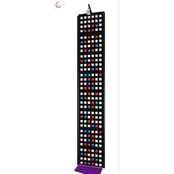 Kids Fun Climbing Wall Anti UV Full Body Exercise Indoor Rock Climbing Gym ROHS