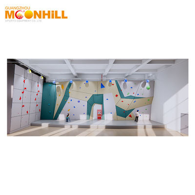 Speed Climbing Wall Hand Grips Organic Resin Climbing Foot Holds For School