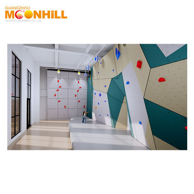 Speed Climbing Wall Hand Grips Organic Resin Climbing Foot Holds For School