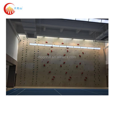 University Mobile Bouldering Wall EN 12572 Flat Climbing Wall Panels Indoor