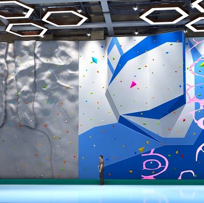 Wood Steel Plastic Indoor Climbing Wall For 6-50 Years Old