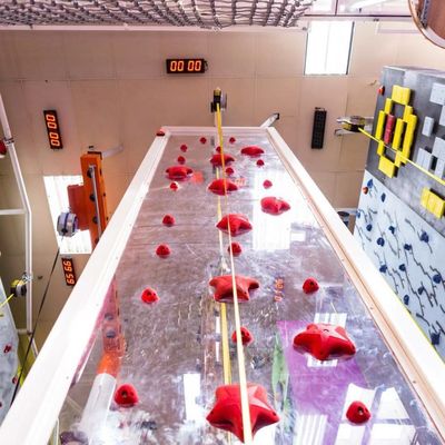 High Rope Adventure Park Equipment Challenging For Kids And Adults