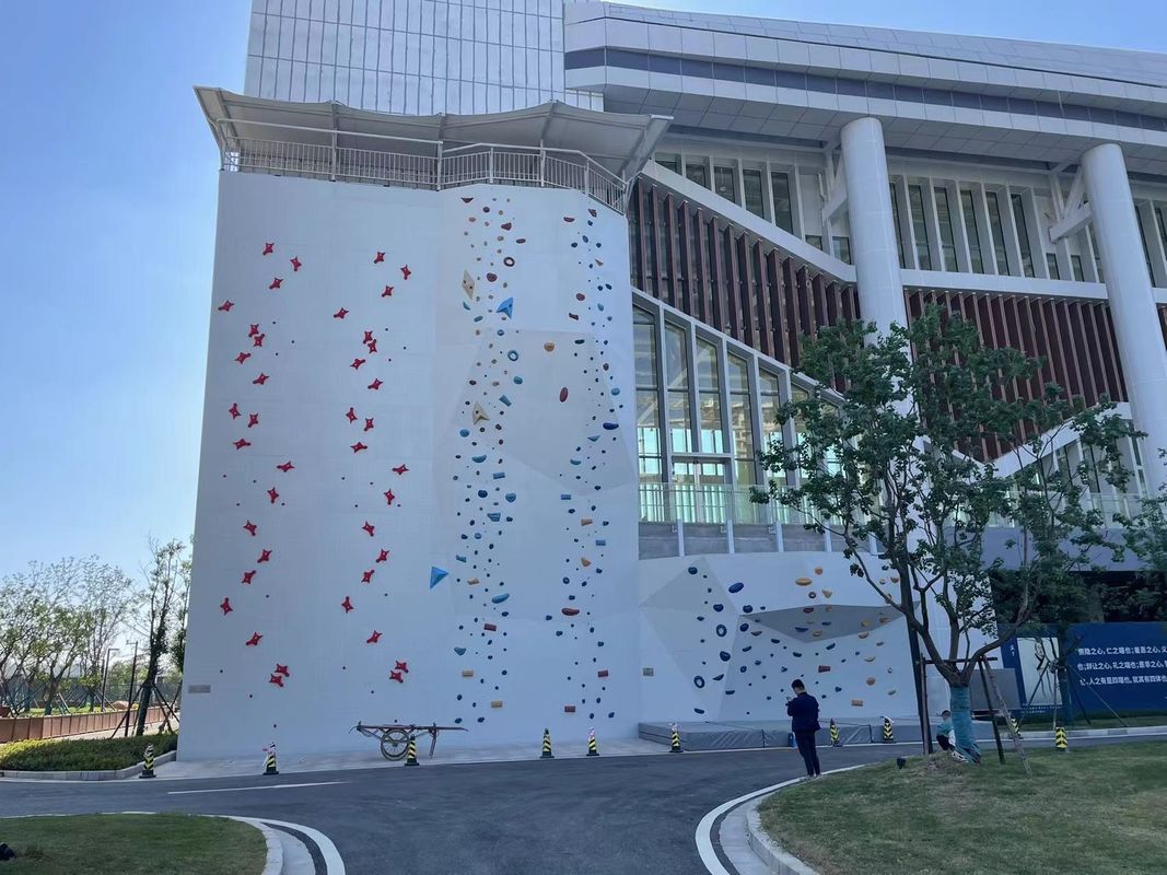 Theme Park Speed Climbing Wall Outdoor Customized Wall Climbing For Adults