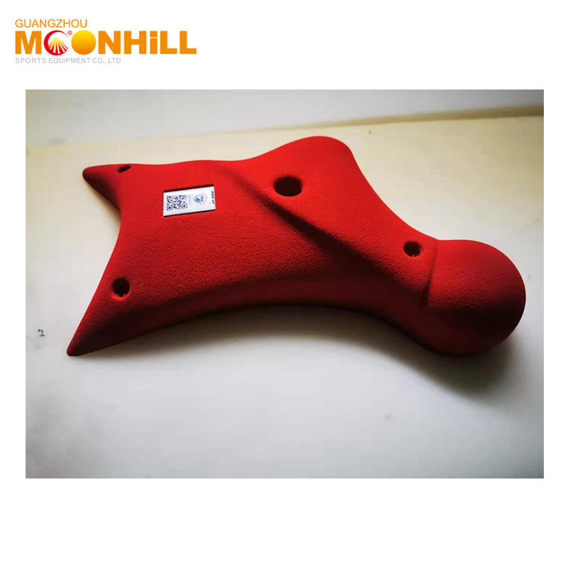 Playground Professional Resin Climbing Holds Indoor Outdoor For Adult