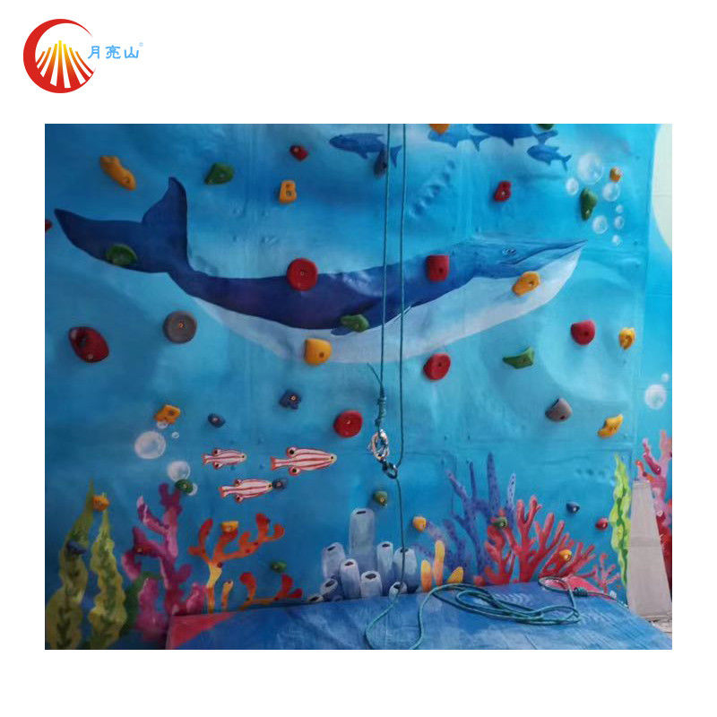 Gym Playground Professional Indoor Rock Climbing Multicoloured Custom For Adults