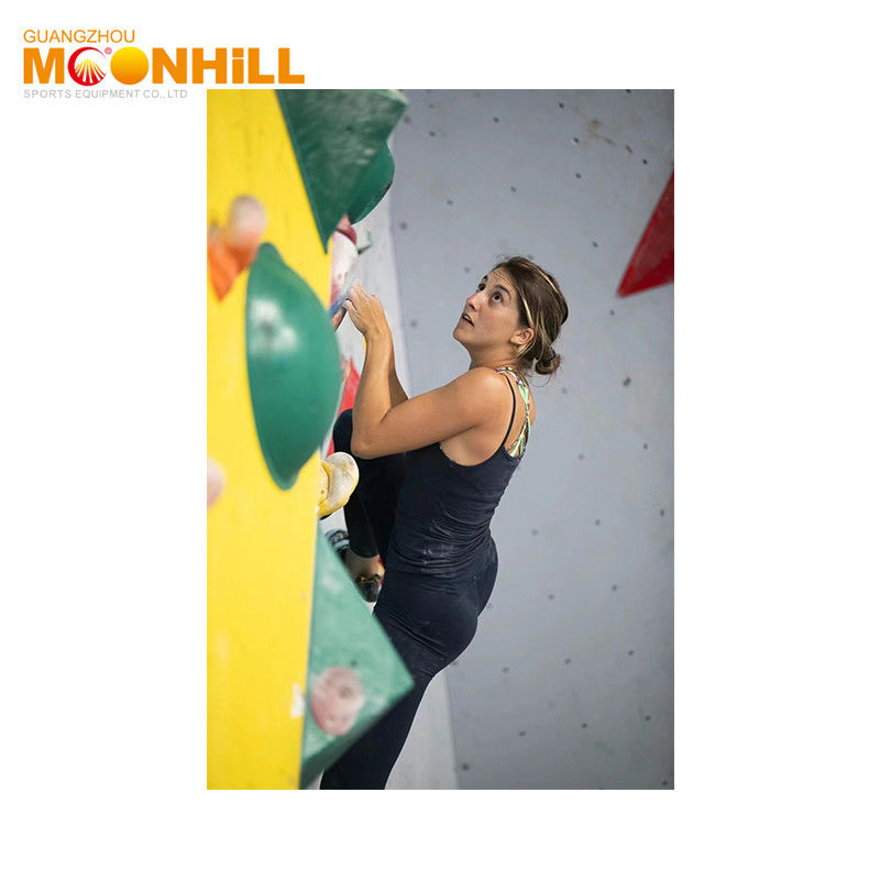 Amusement Adult Rock Indoor Climbing Wall Steel Wooden Resin ISO9001 ISO14001