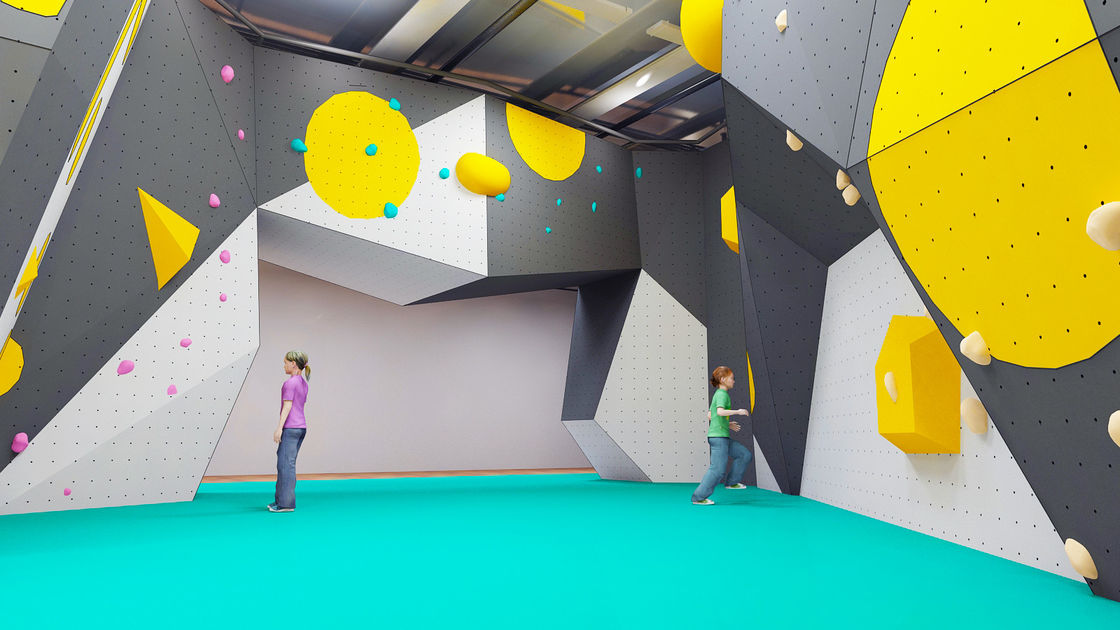 Wood Steel Plastic Indoor Climbing Wall For 6-50 Years Old