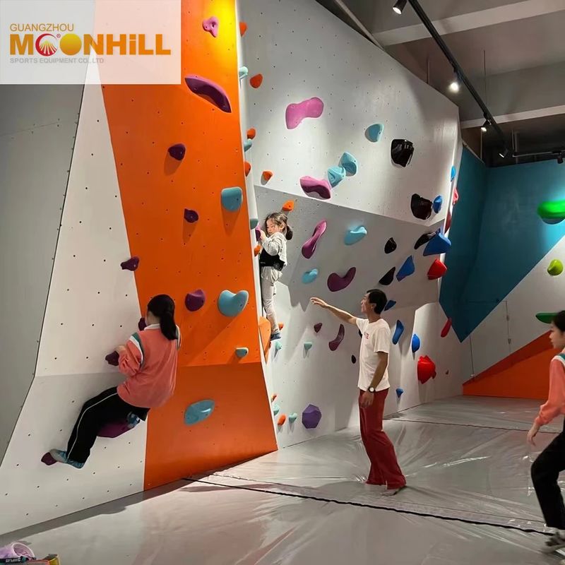 Durable And Easy Installation Outdoor Climbing Wall With CE Certification